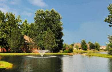 Picture of a pond 3 weeks after treating with fluridone aquatic herbicide