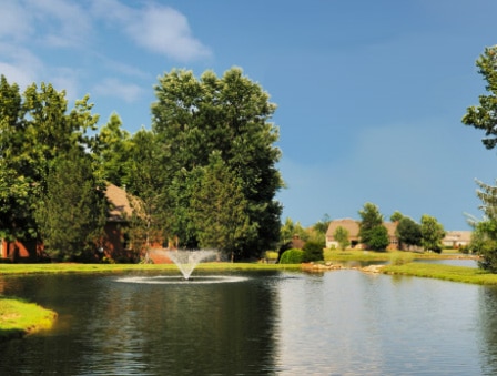 Picture of a pond 3 weeks after treating with fluridone aquatic herbicide